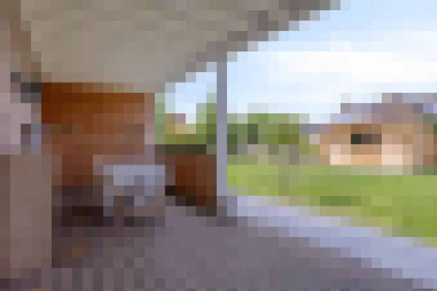 Jacintastraat 56 Graauw thumbnail 38