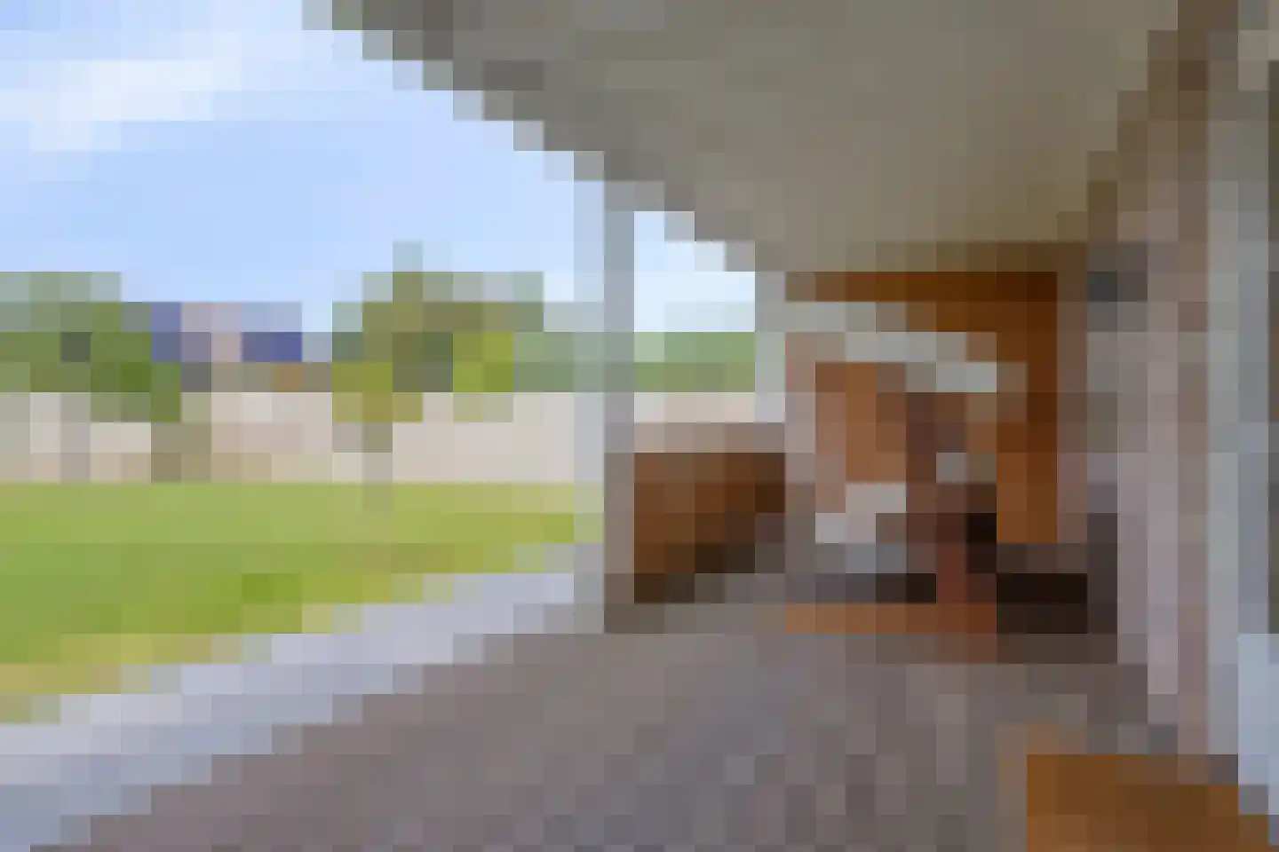 Jacintastraat 56 Graauw thumbnail 39