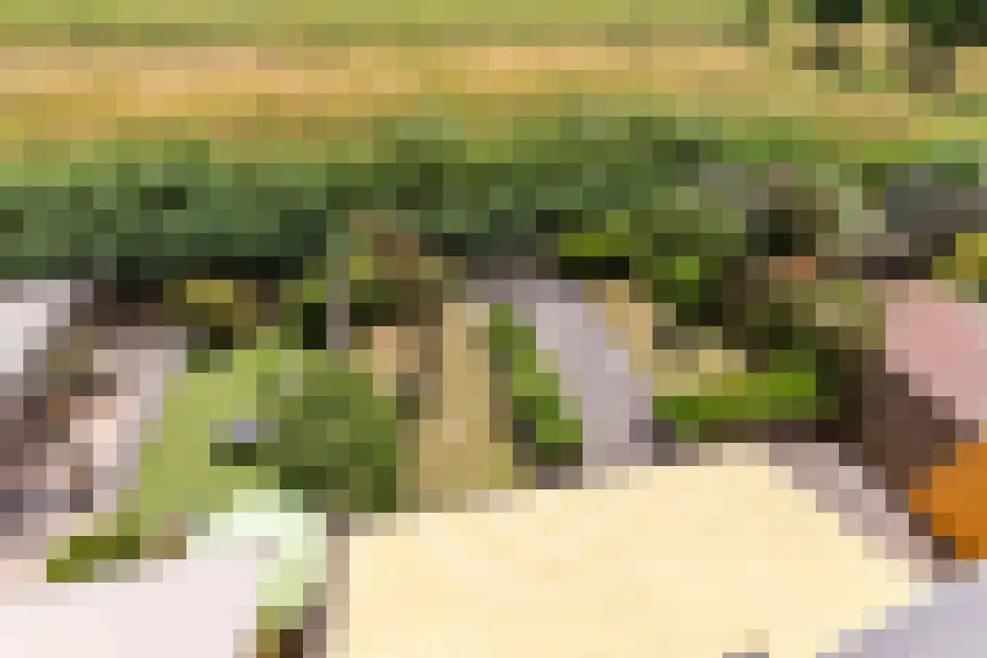 Jack Sharp park 22 Vijfhuizen thumbnail 43