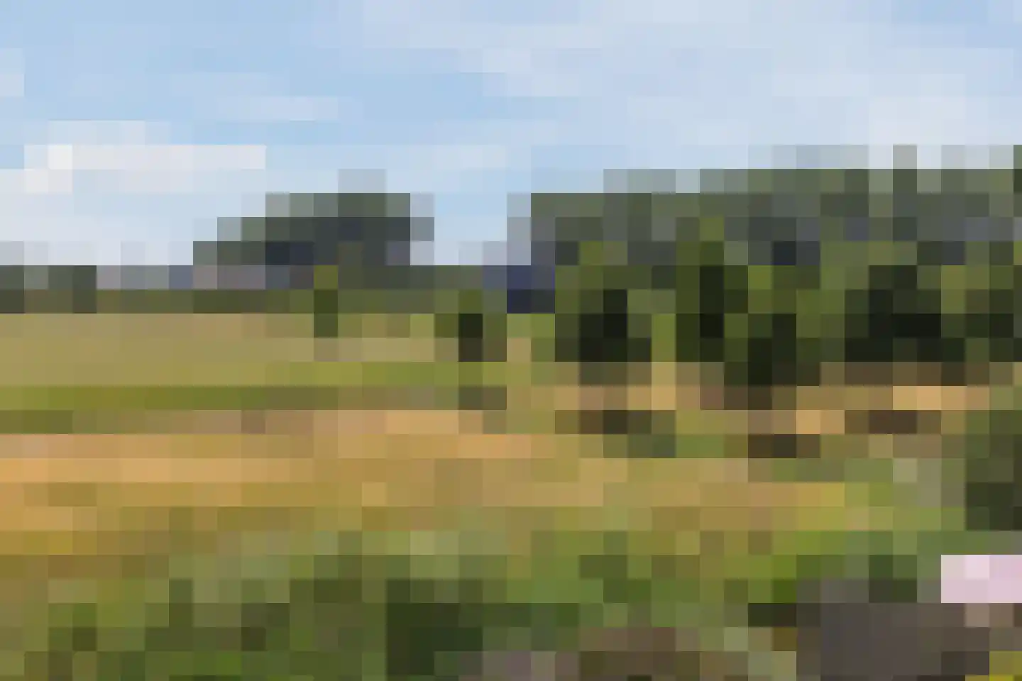 Jack Sharp park 22 Vijfhuizen thumbnail 45