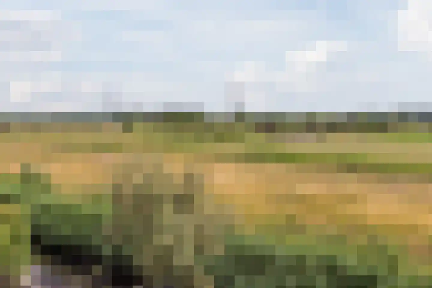 Jack Sharp park 22 Vijfhuizen thumbnail 46
