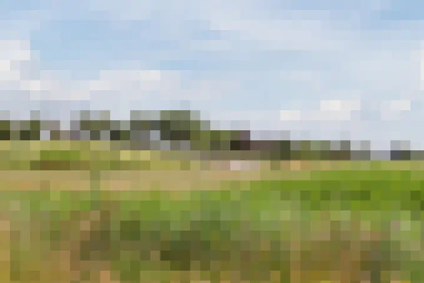 Jack Sharp park 22 Vijfhuizen thumbnail 54