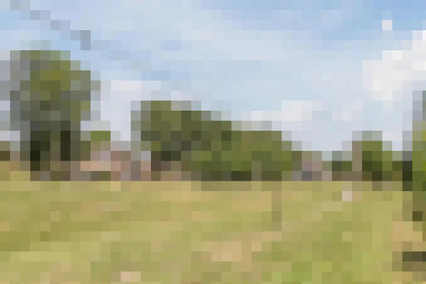 Jack Sharp park 22 Vijfhuizen thumbnail 56