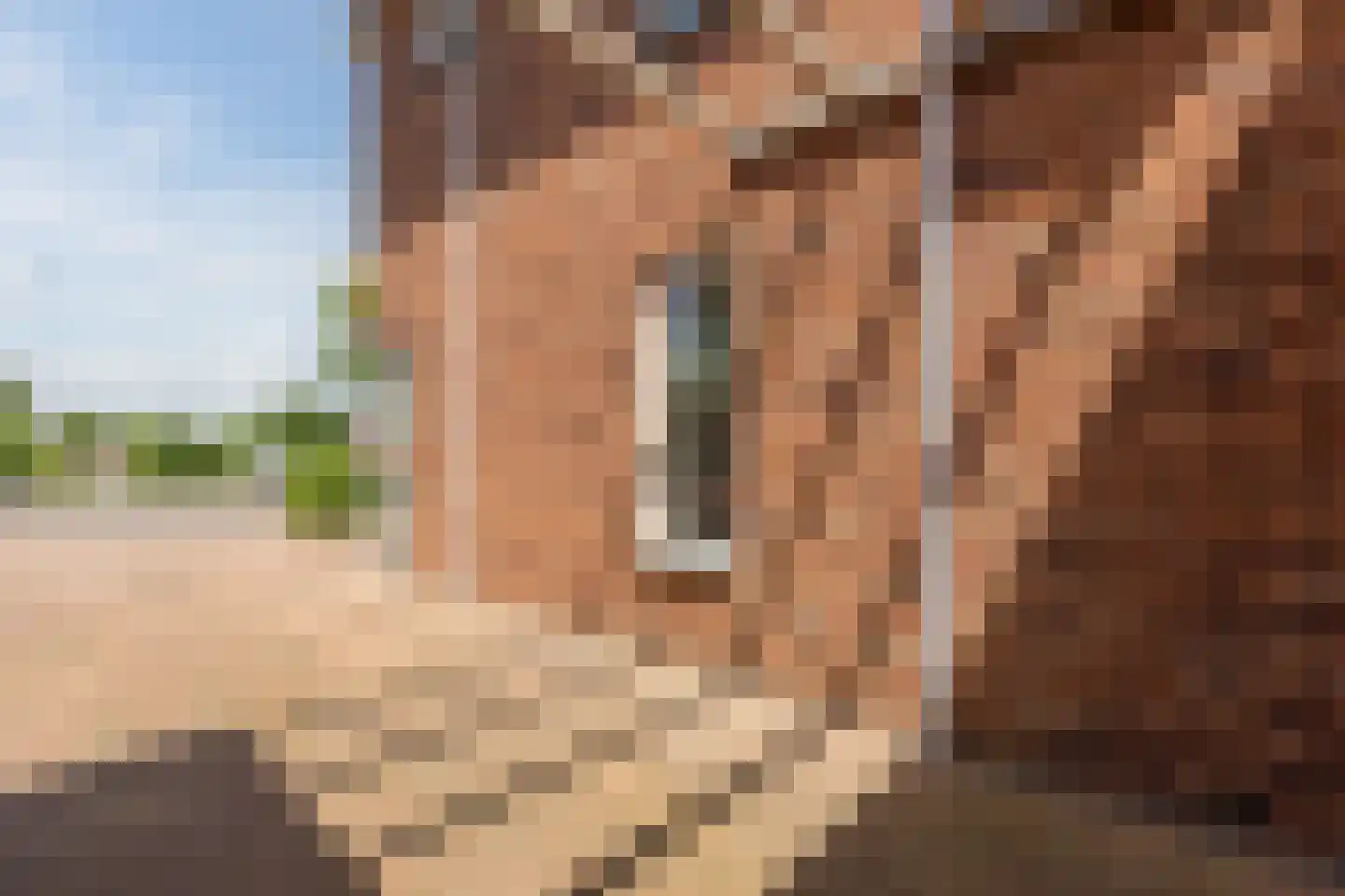 Jack Sharp park 22 Vijfhuizen thumbnail 8