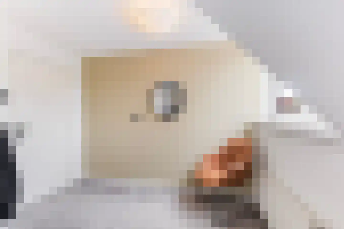 Jacob Backerstraat 31 Harlingen thumbnail 30