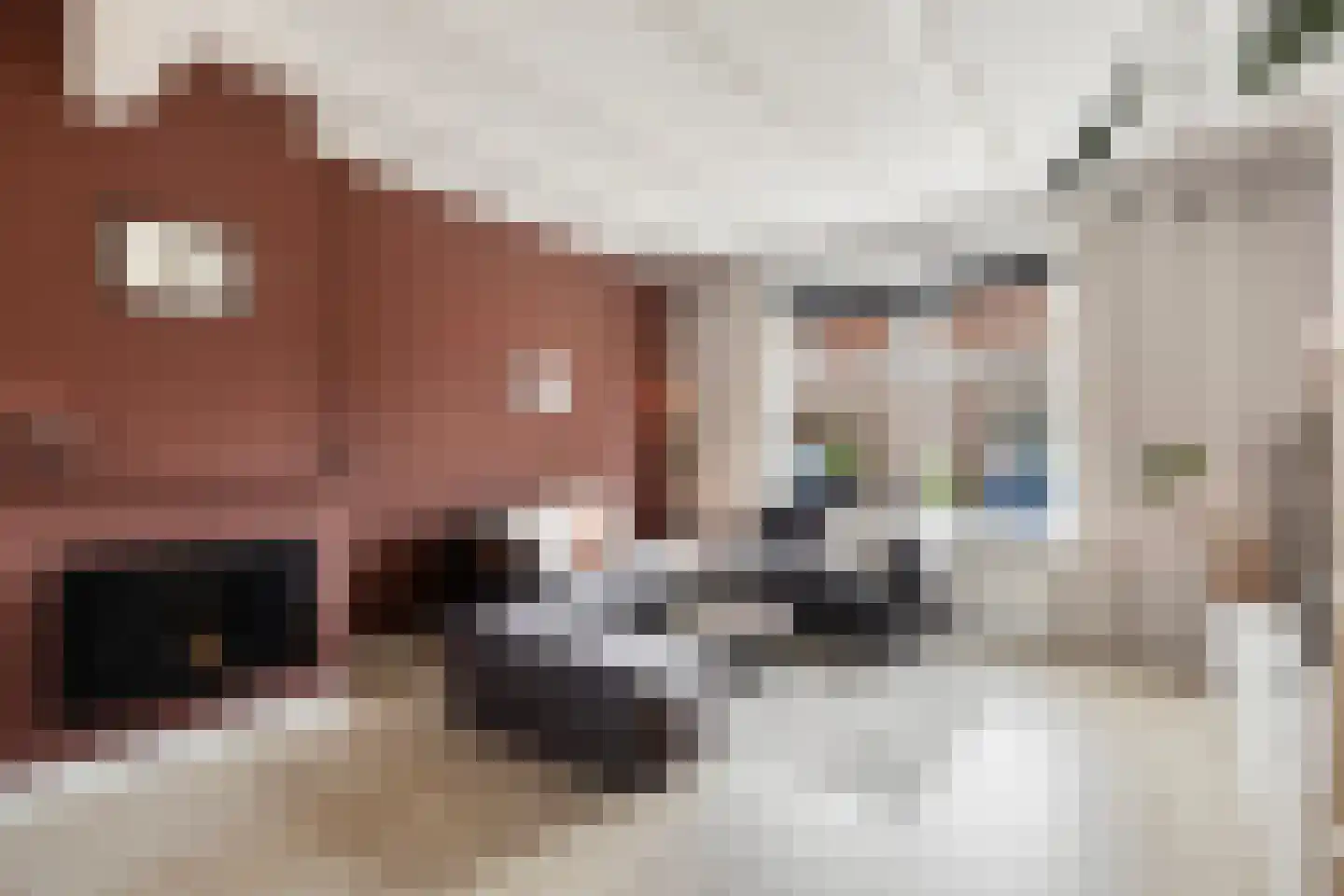 Jacob Backerstraat 31 Harlingen thumbnail 8