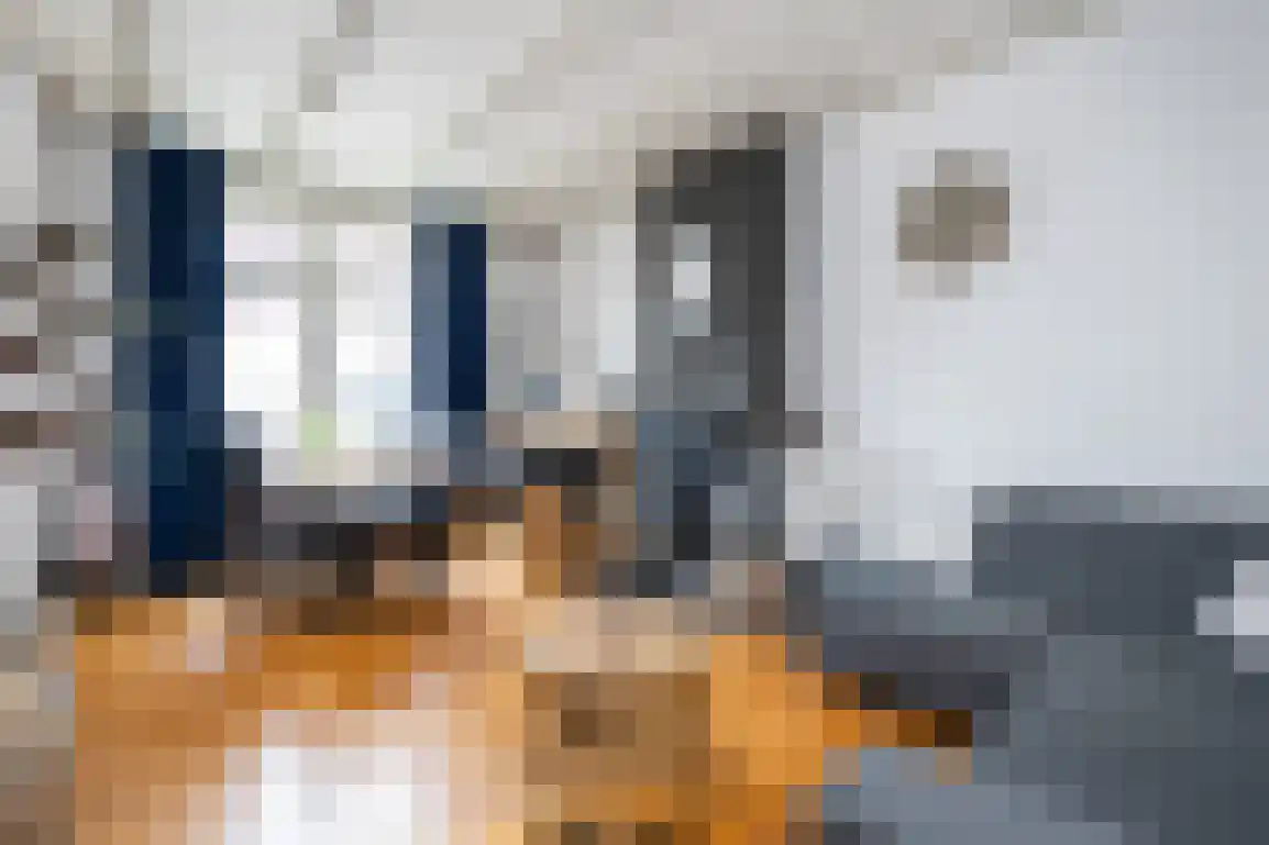 Jacob Banestraat 12 Sommelsdijk thumbnail 7