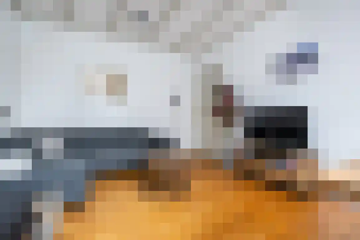 Jacob Banestraat 12 Sommelsdijk thumbnail 9