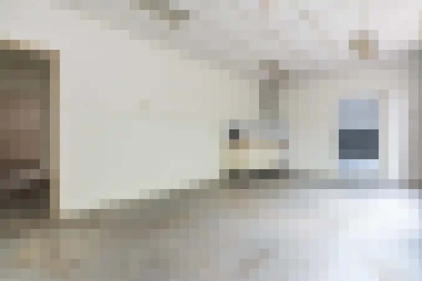Jacob Banestraat 8 Sommelsdijk thumbnail 14