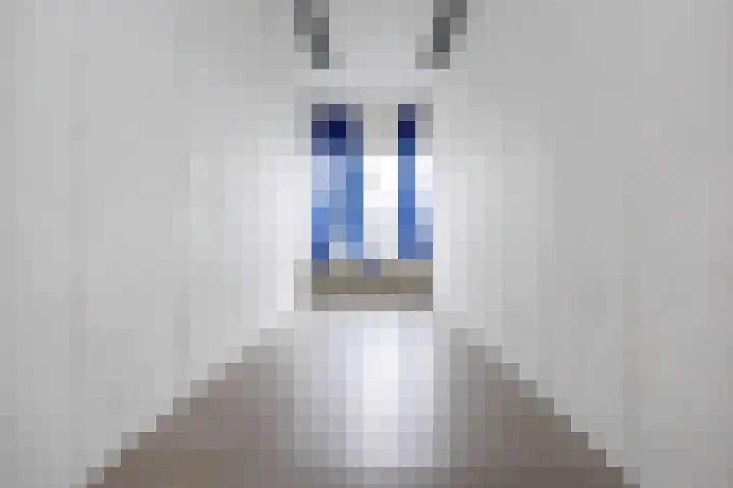 Jacob Banestraat 8 Sommelsdijk thumbnail 25