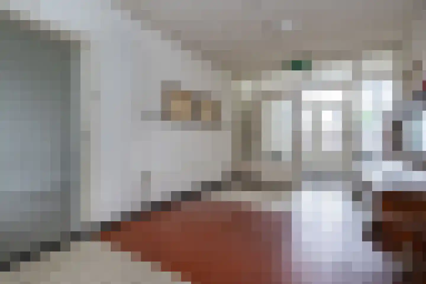 Jacob Banestraat 8 Sommelsdijk thumbnail 27