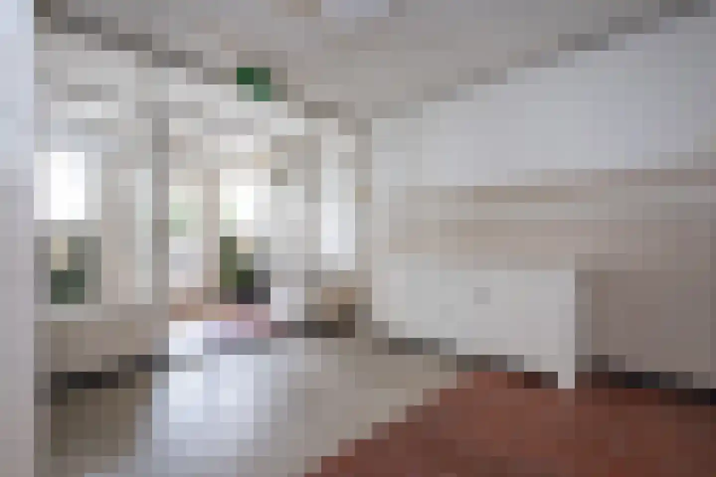 Jacob Banestraat 8 Sommelsdijk thumbnail 4