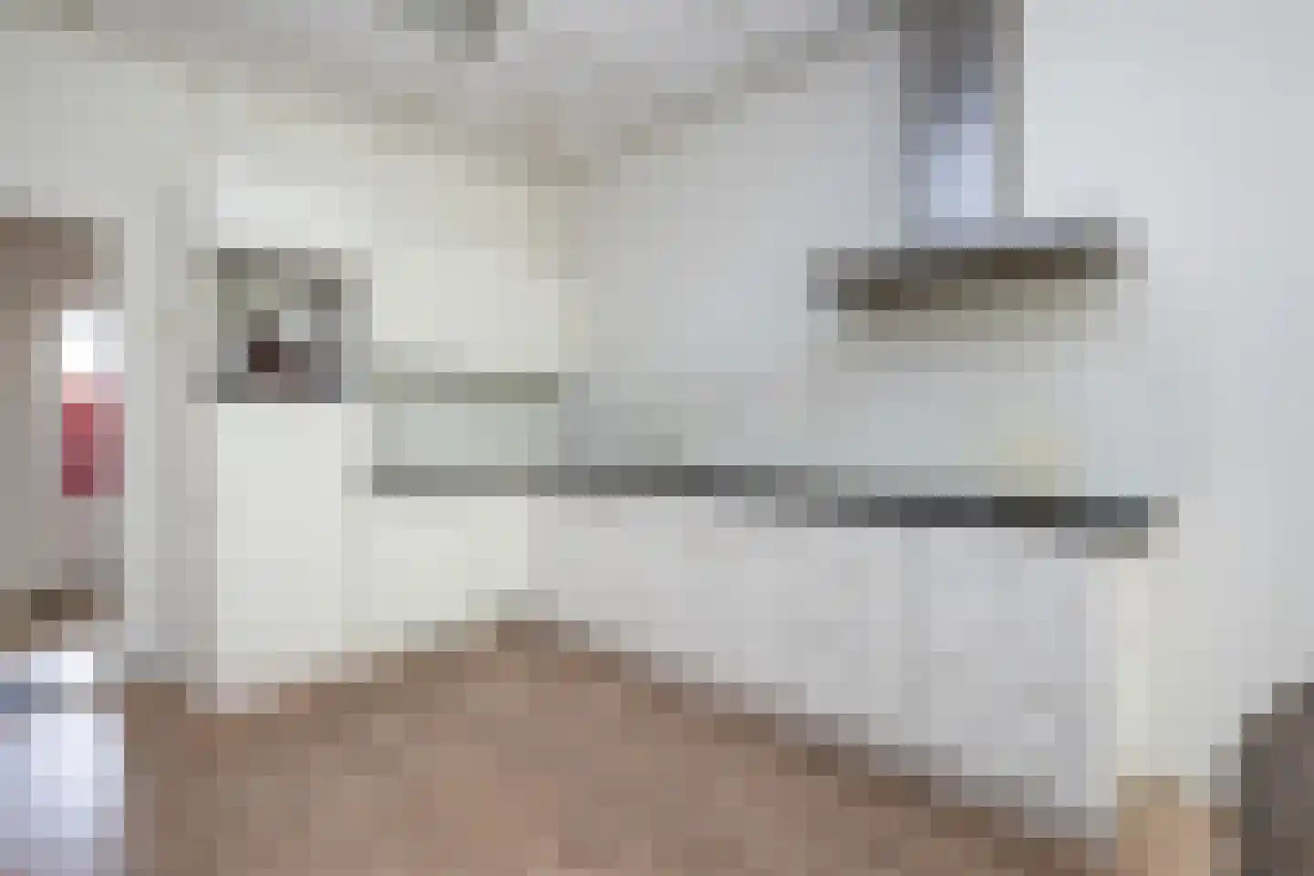 Jacob Banestraat 8 Sommelsdijk thumbnail 40