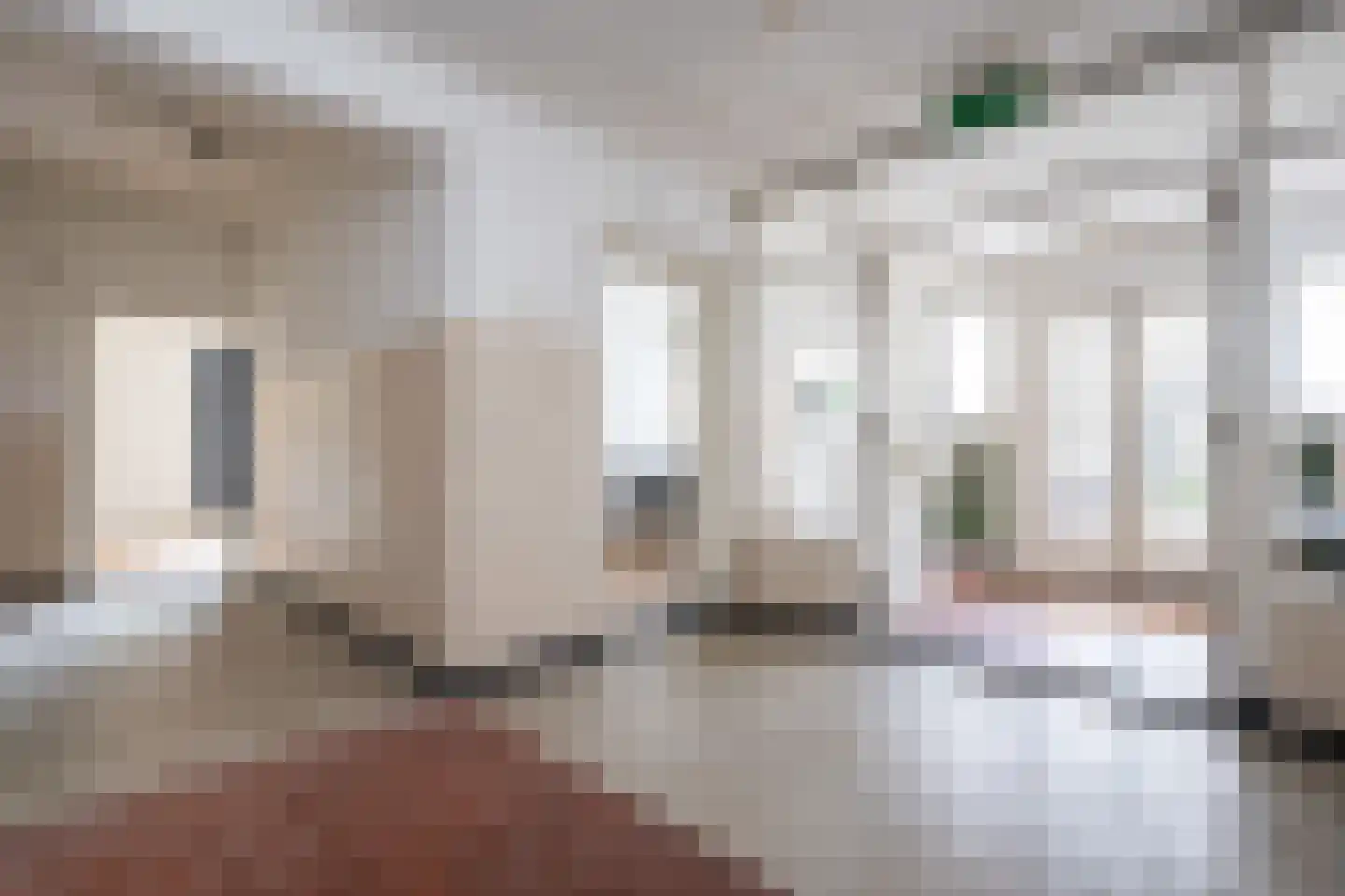 Jacob Banestraat 8 Sommelsdijk thumbnail 5