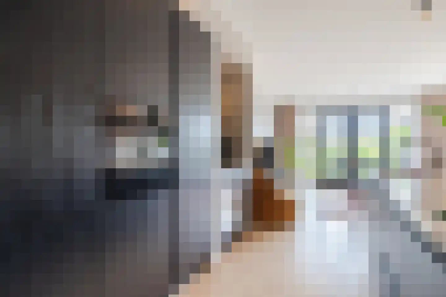 Jacob Barneveldstraat 27 a Linschoten thumbnail 17