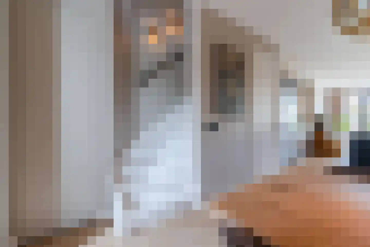 Jacob Barneveldstraat 27 a Linschoten thumbnail 22