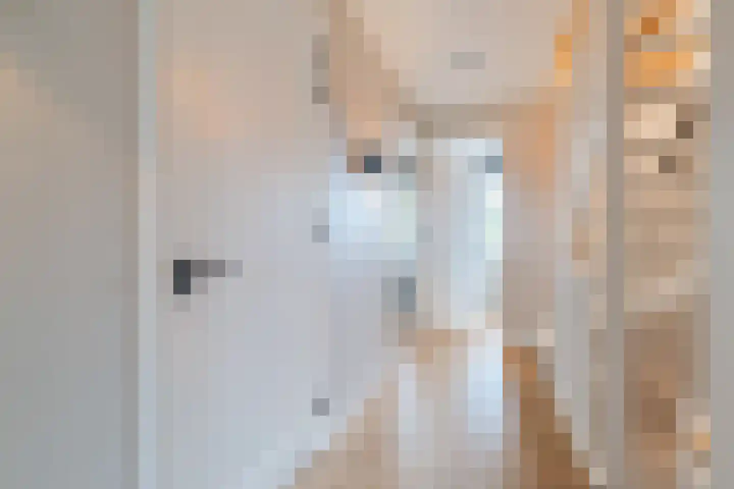 Jacob Barneveldstraat 27 a Linschoten thumbnail 23