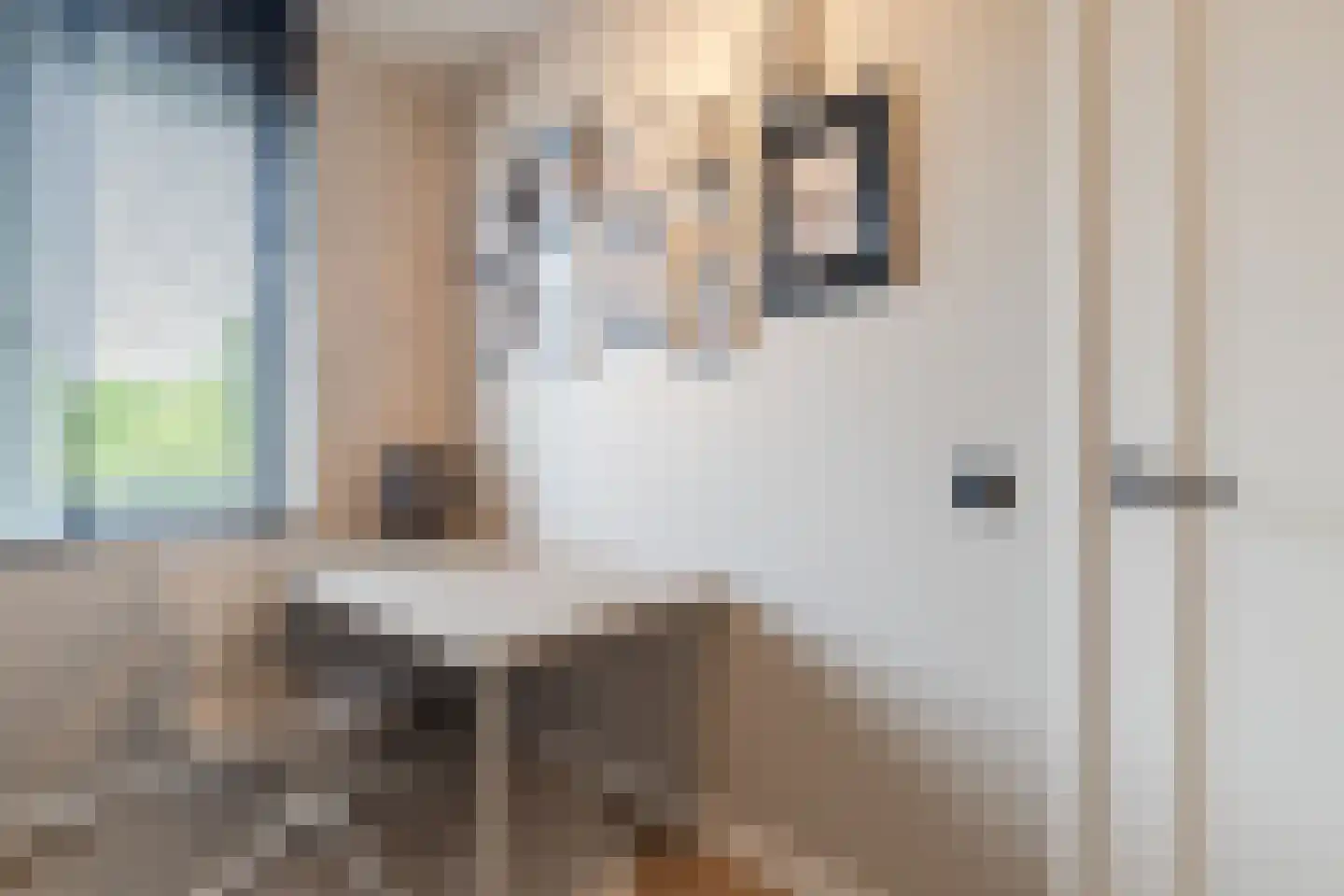 Jacob Barneveldstraat 27 a Linschoten thumbnail 28
