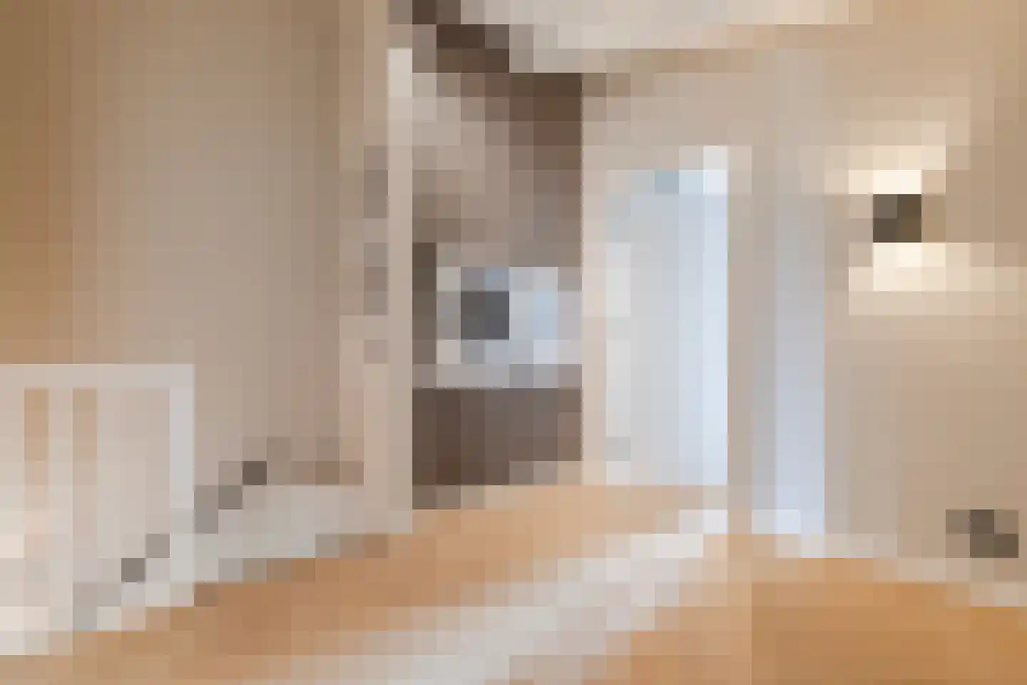 Jacob Barneveldstraat 27 a Linschoten thumbnail 7