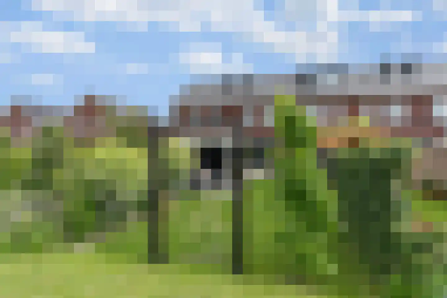 Jacob Barneveldstraat 39 Linschoten thumbnail 16
