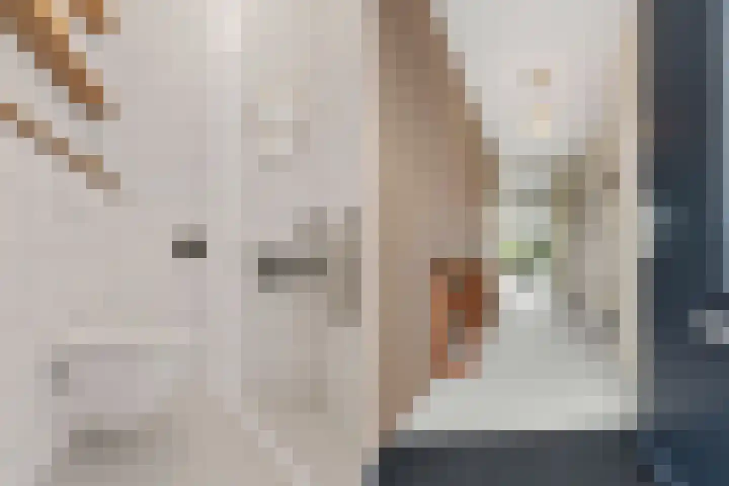 Jacob Barneveldstraat 39 Linschoten thumbnail 19
