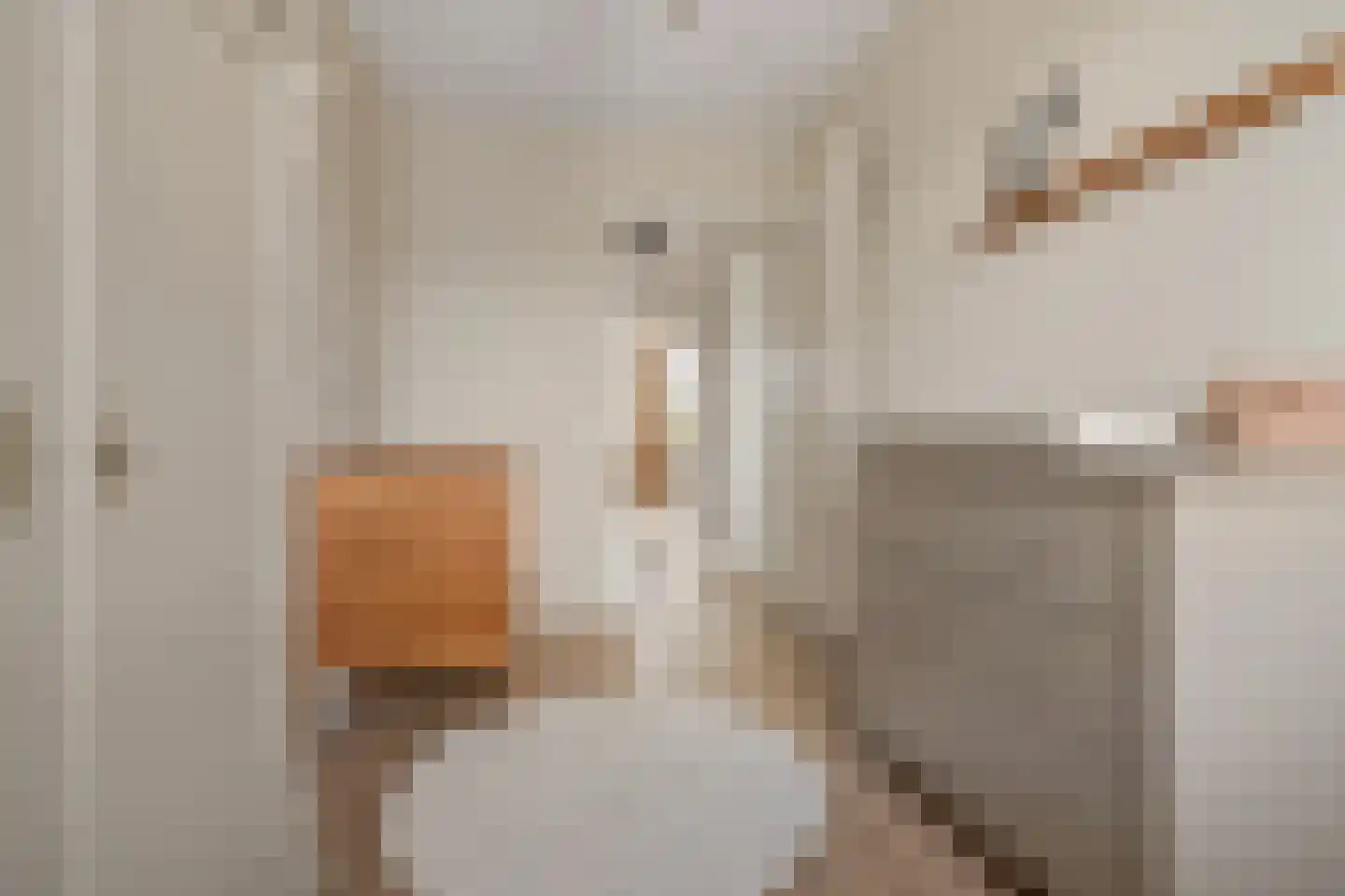 Jacob Barneveldstraat 39 Linschoten thumbnail 24