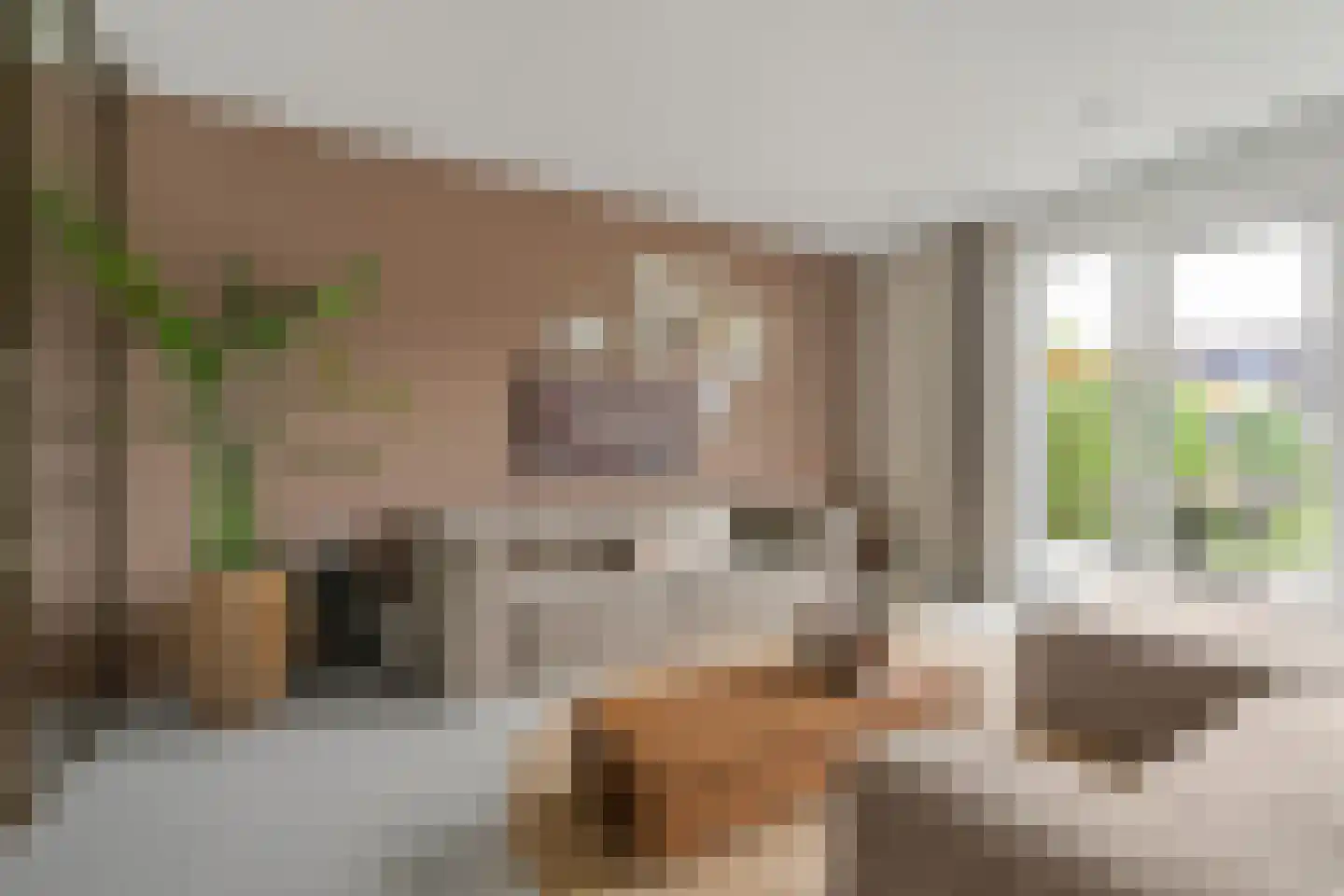 Jacob Barneveldstraat 39 Linschoten thumbnail 7