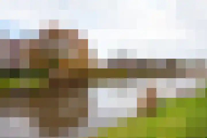Jacob Barneveldstraat 69 Linschoten thumbnail 33