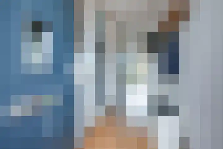 Jacob Barneveldstraat 69 Linschoten thumbnail 4
