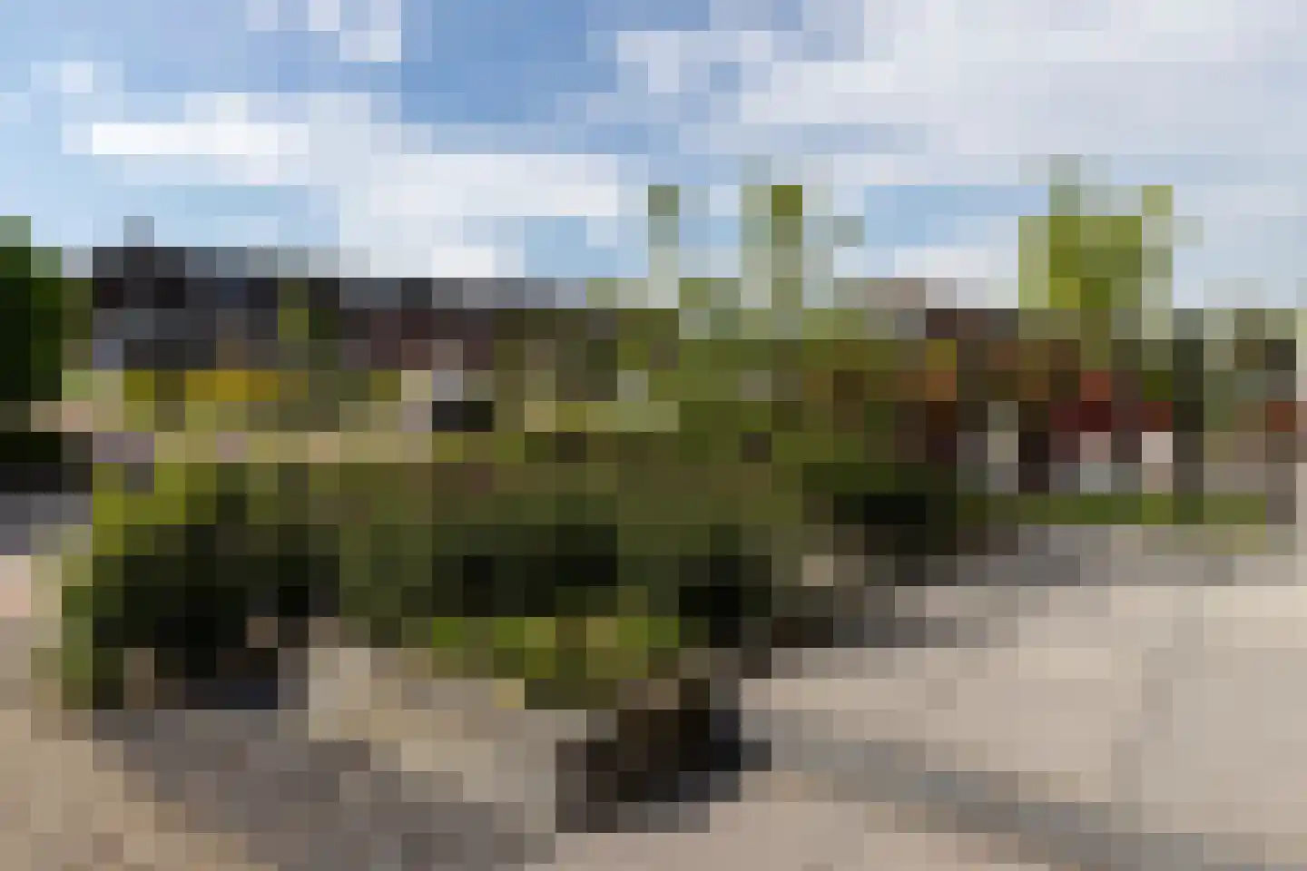 Jacob Barneveldstraat 93 Linschoten thumbnail 58