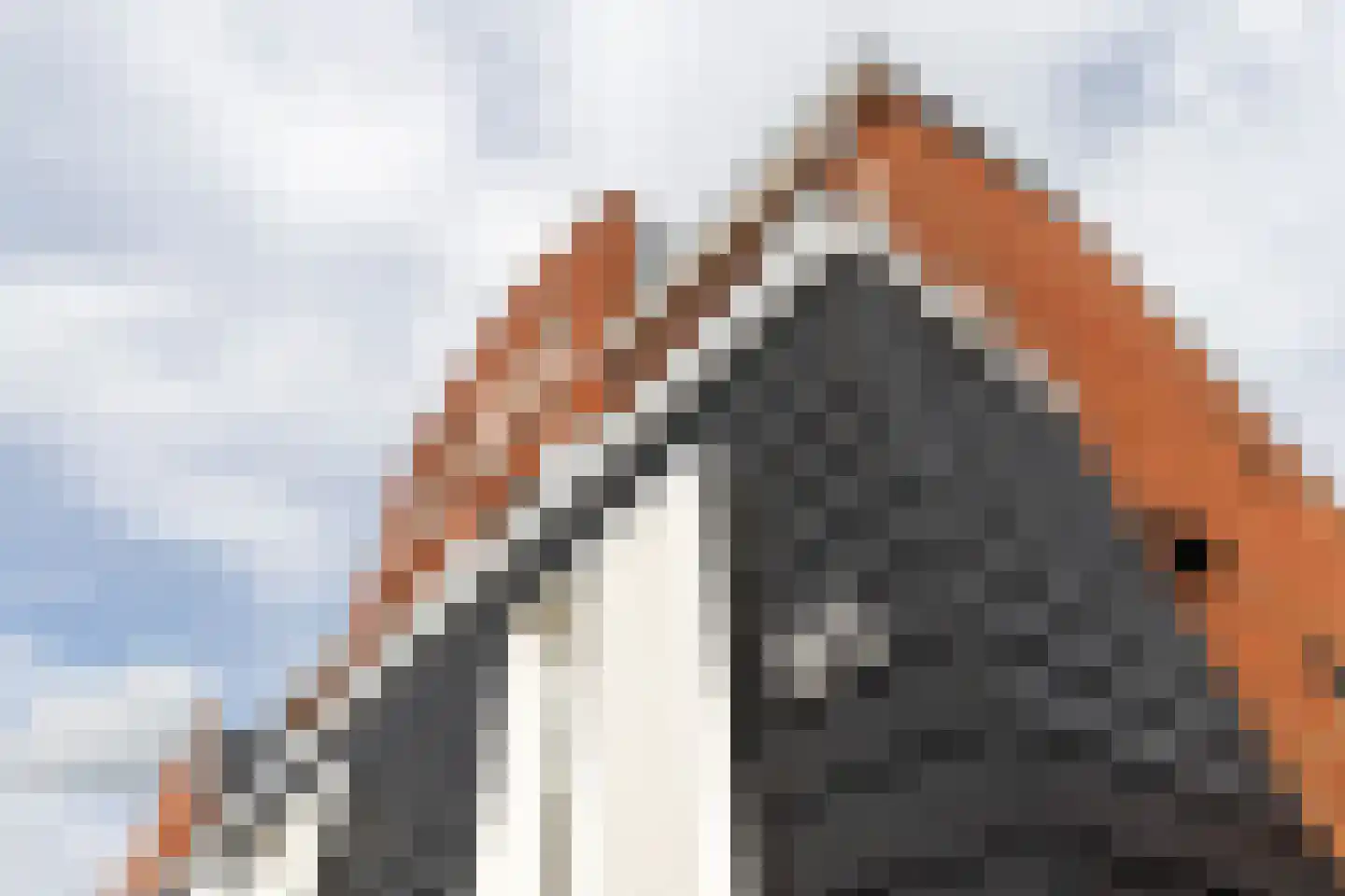 Jacob Barneveldstraat 93 Linschoten thumbnail 6