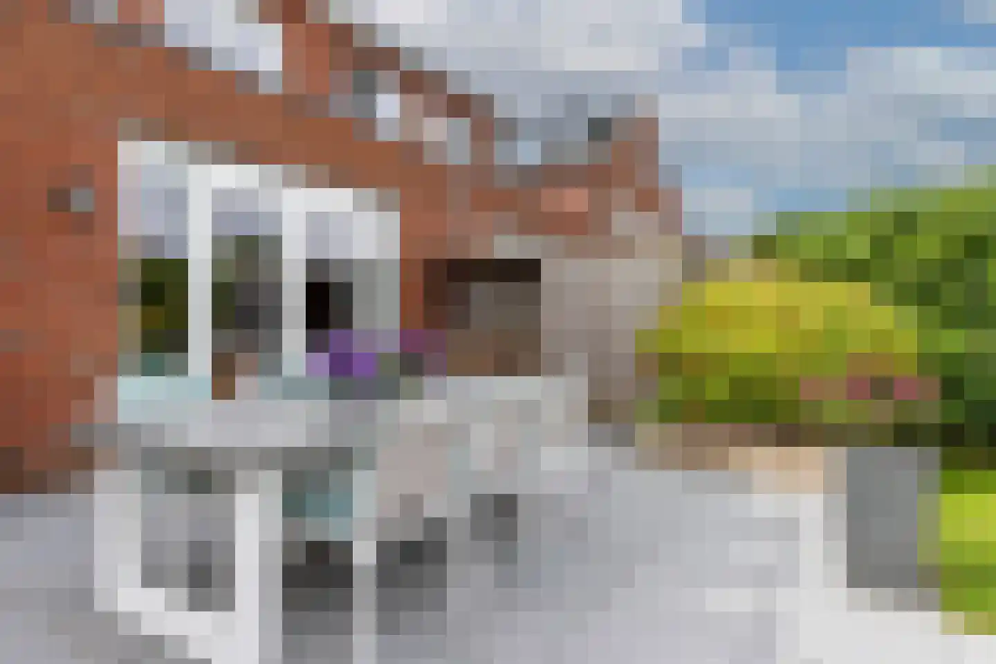 Jacob Barneveldstraat 93 Linschoten thumbnail 60