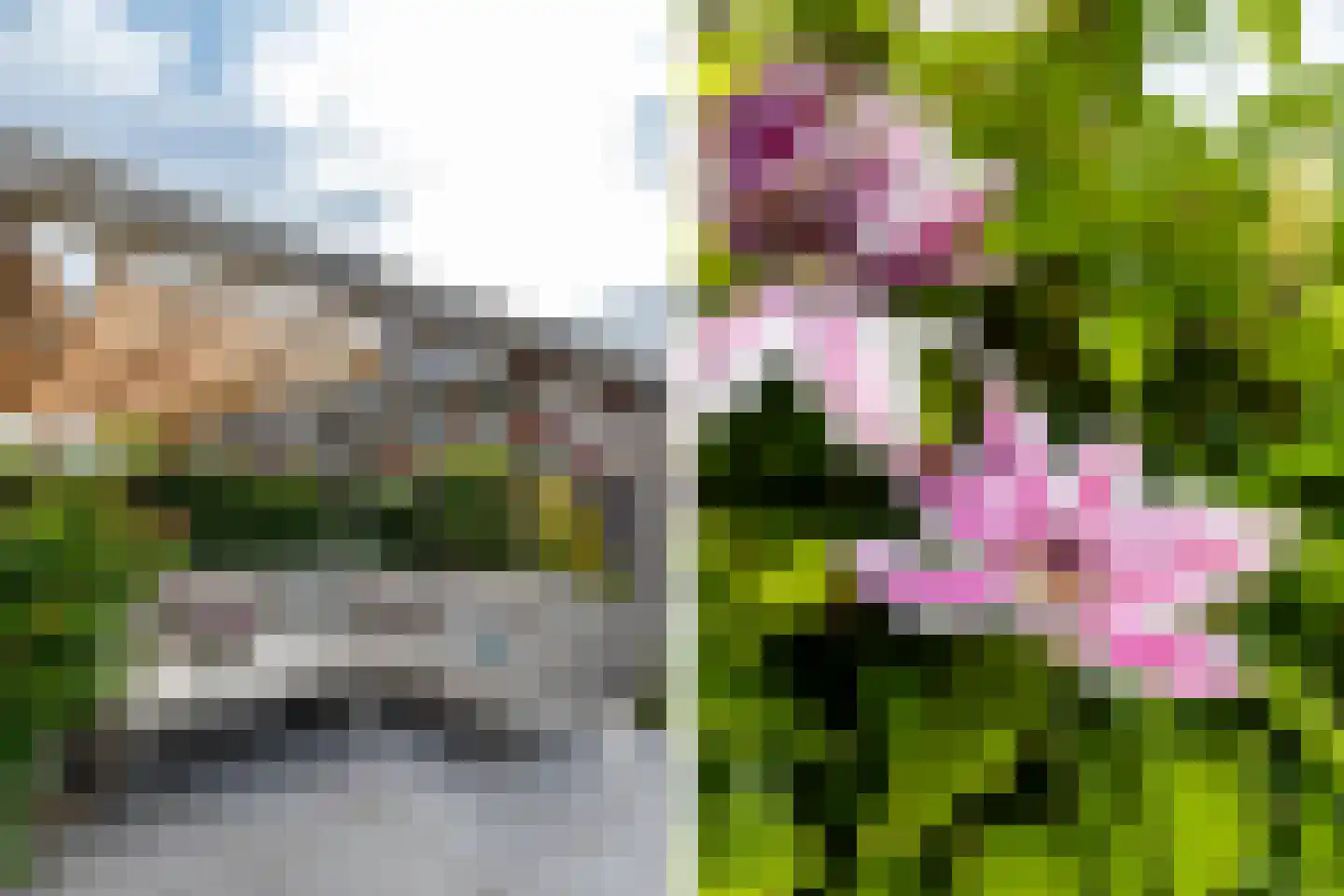 Jacob Barneveldstraat 93 Linschoten thumbnail 62