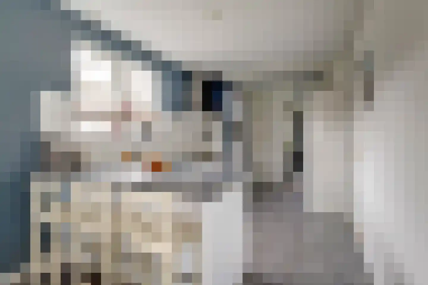 Jacob Binckesstraat 14 Koudum thumbnail 10