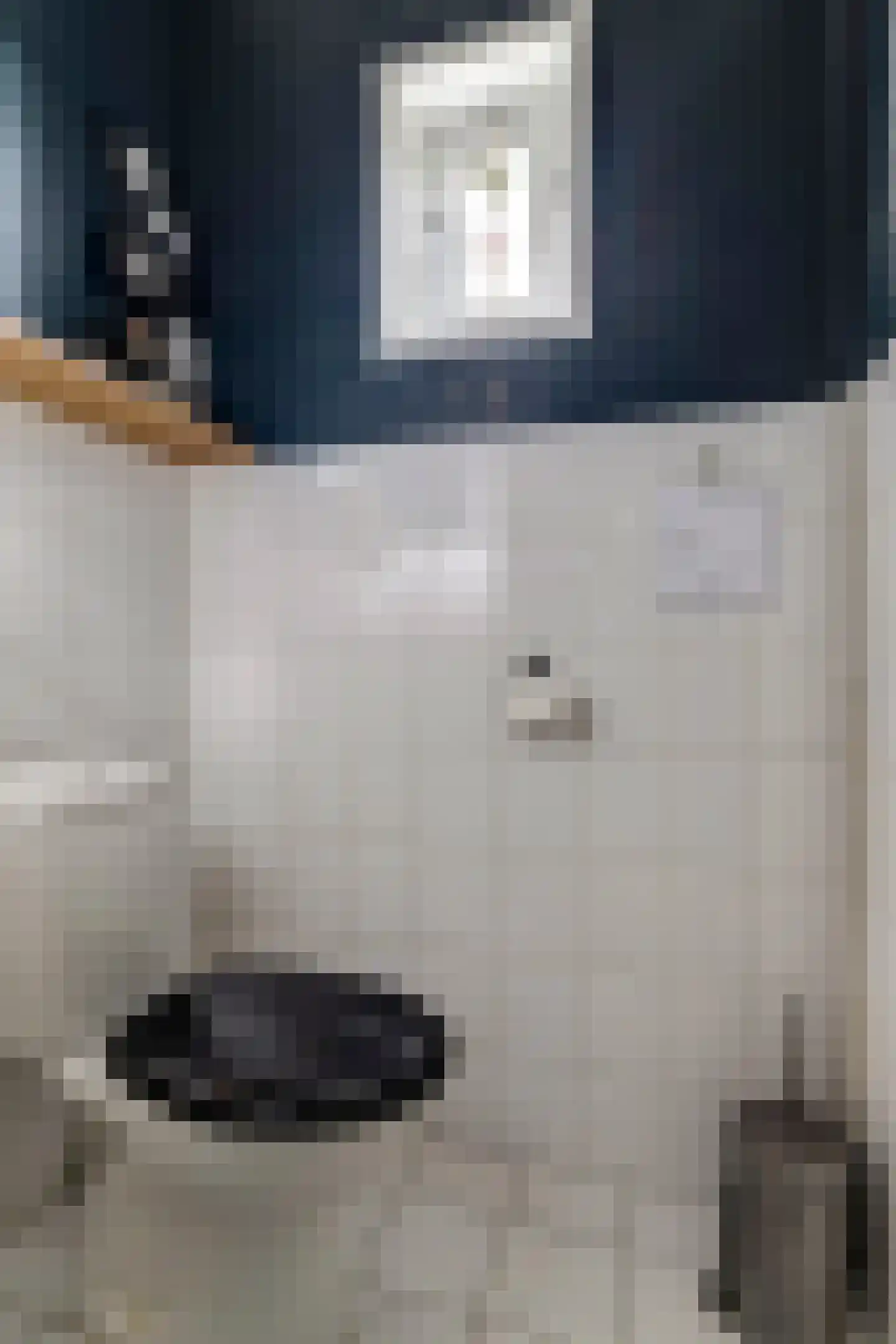 Jacob Binckesstraat 14 Koudum thumbnail 15