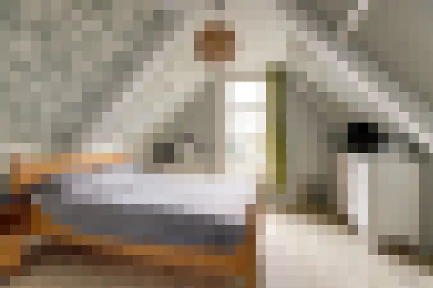 Jacob Binckesstraat 14 Koudum thumbnail 17