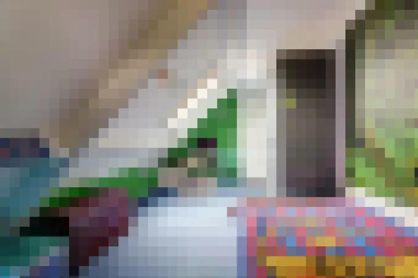 Jacob Binckesstraat 14 Koudum thumbnail 18