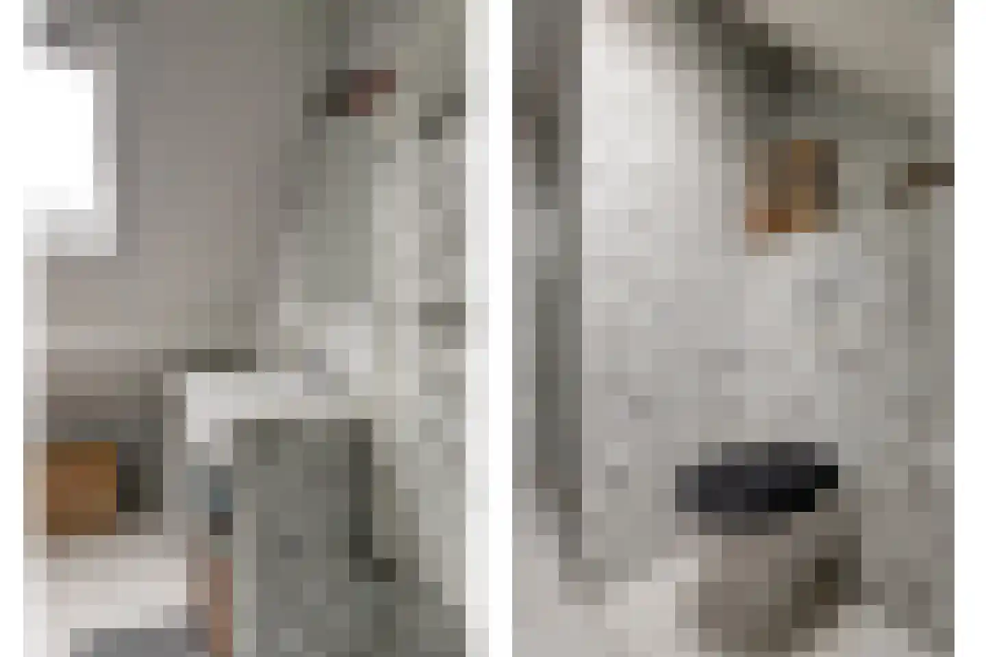 Jacob Binckesstraat 14 Koudum thumbnail 21