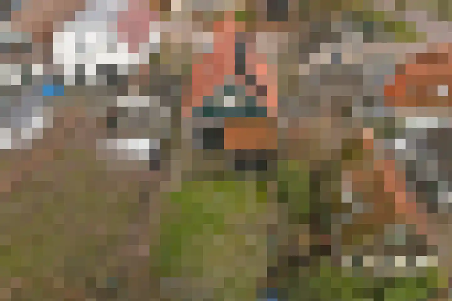 Jacob Binckesstraat 14 Koudum thumbnail 25