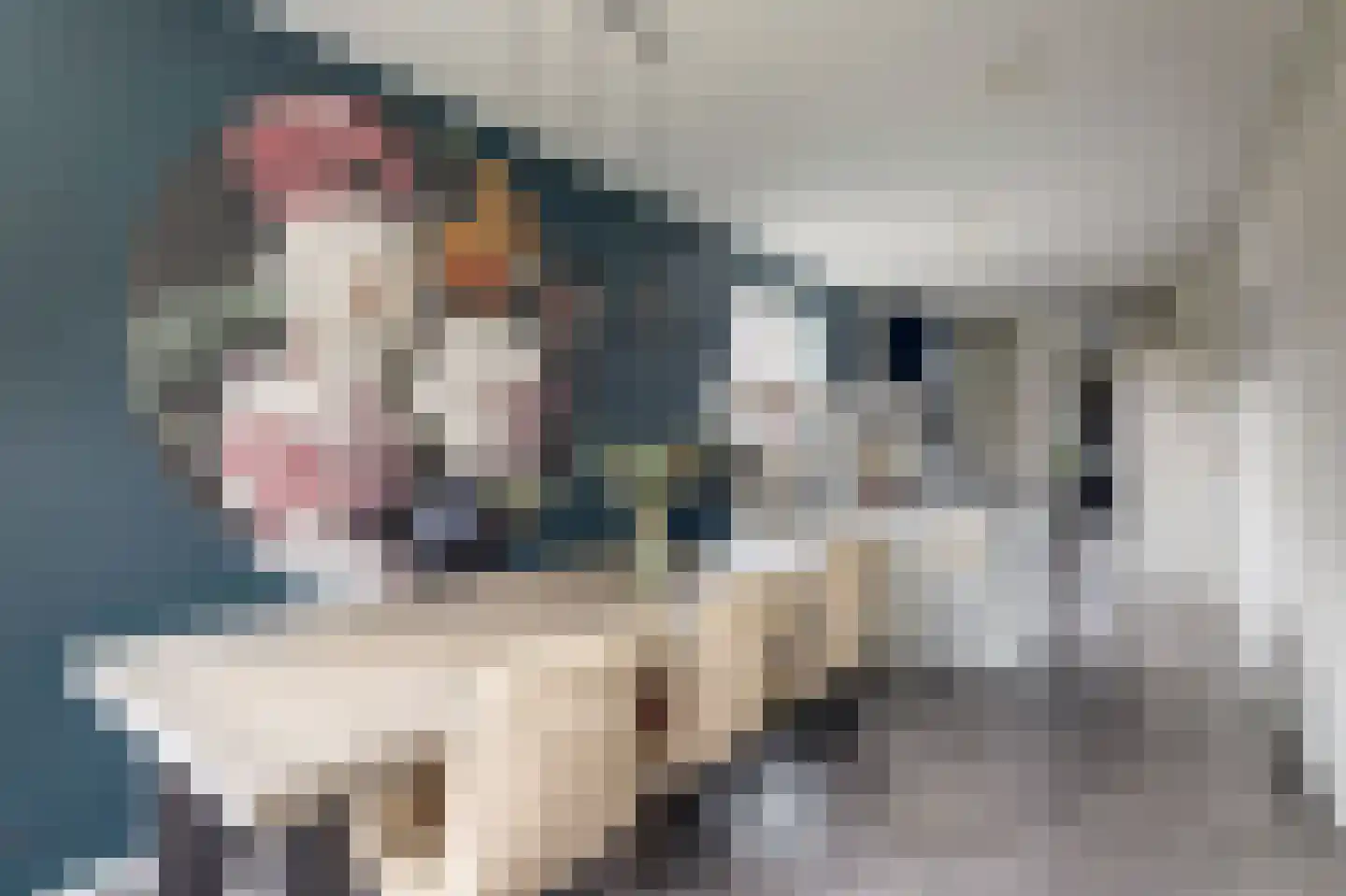 Jacob Binckesstraat 14 Koudum thumbnail 9