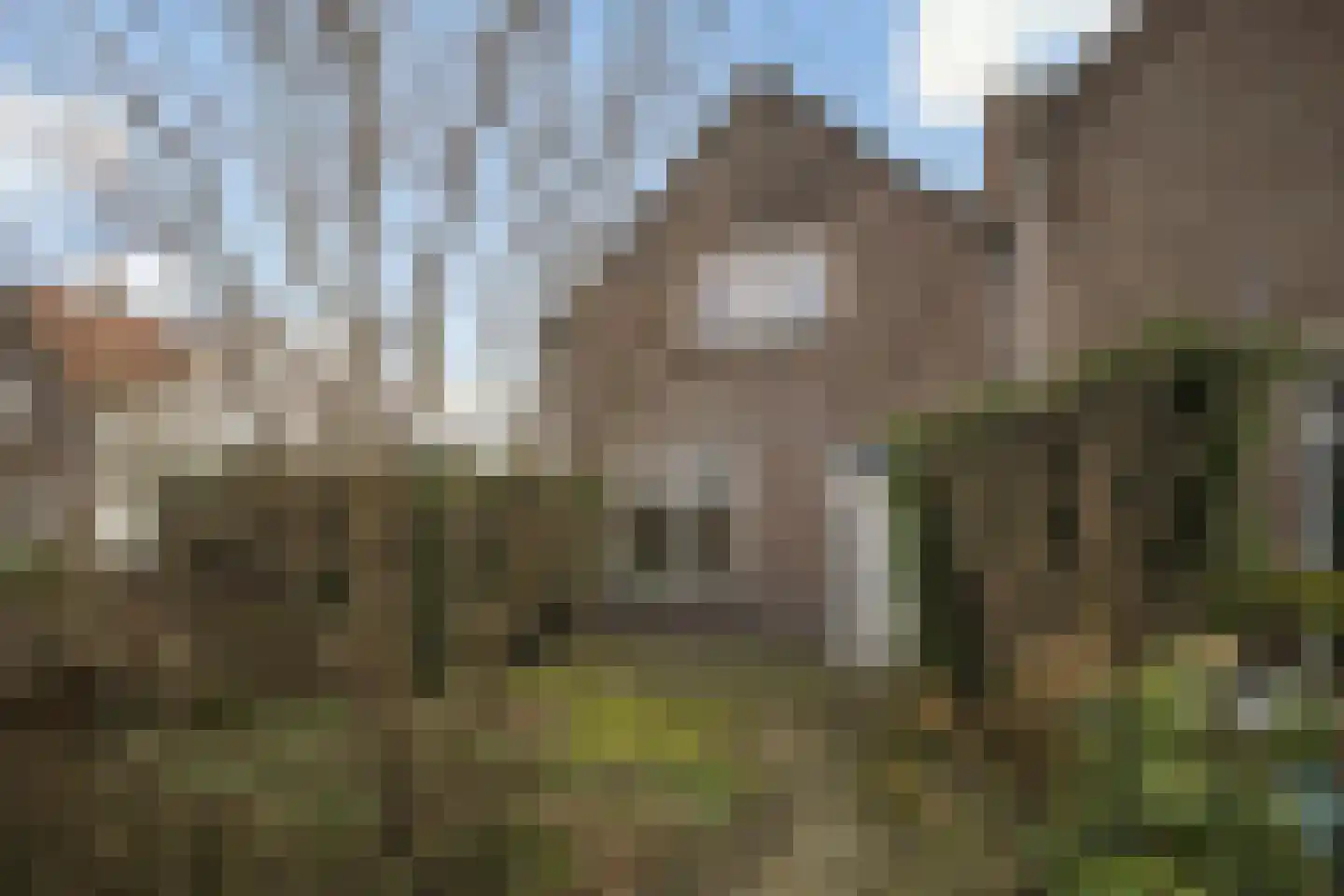 Jacob Binckesstraat 31 Leeuwarden thumbnail 33