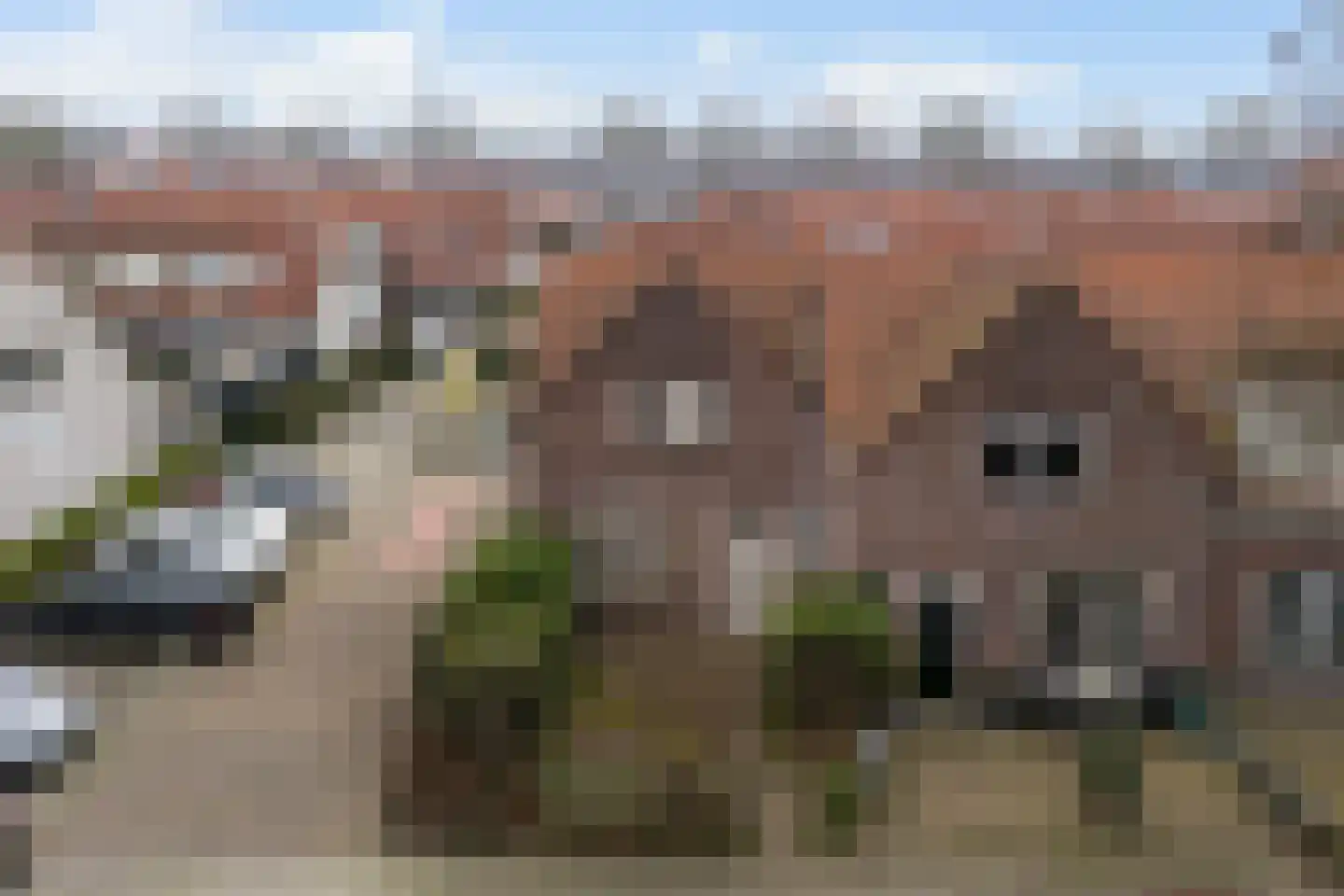 Jacob Binckesstraat 31 Leeuwarden thumbnail 34