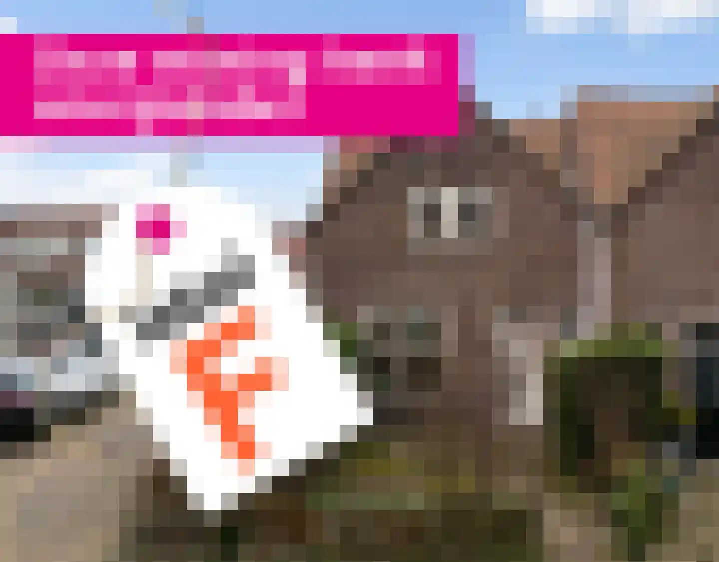 Jacob Binckesstraat 31 Leeuwarden thumbnail 38