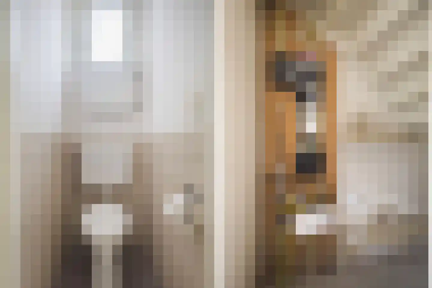 Jacob Binckesstraat 31 Leeuwarden thumbnail 5