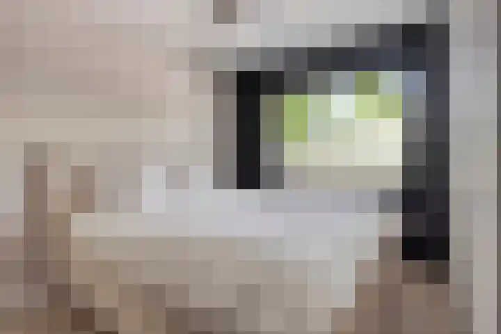 Jacob Boekestraat 21 Nieuw-Vennep thumbnail 15