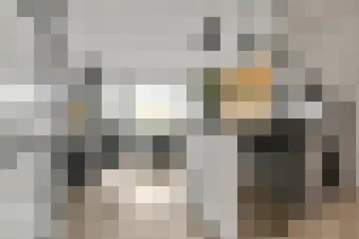 Jacob Boekestraat 41 Nieuw-Vennep thumbnail 17