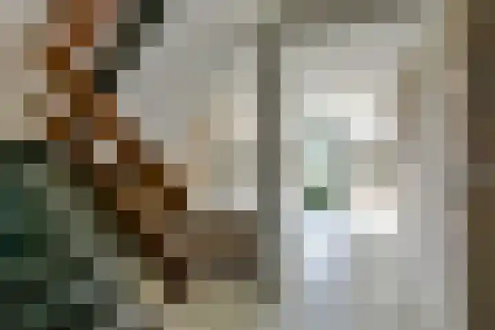 Jacob Boekestraat 41 Nieuw-Vennep thumbnail 7