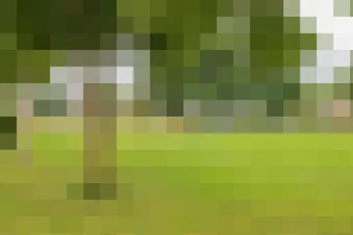 Jacob Boekestraat 5 Nieuw-Vennep thumbnail 29