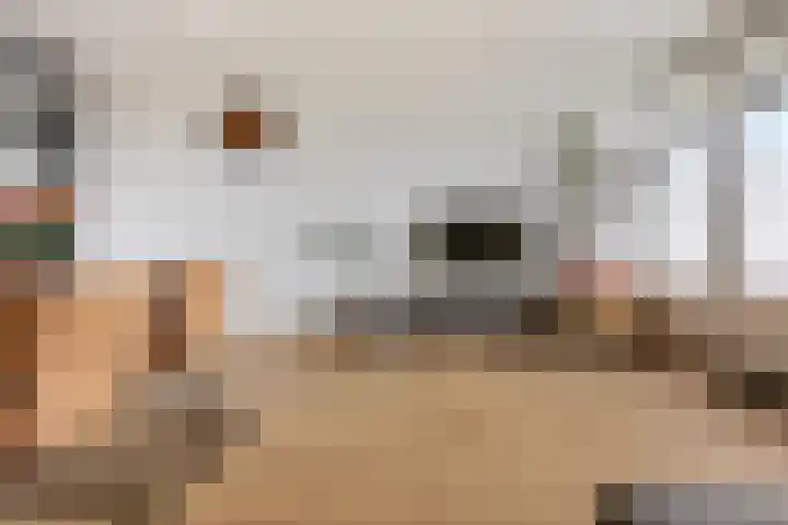 Jacob Boekestraat 77 Nieuw-Vennep thumbnail 12