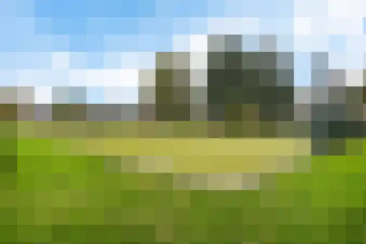 Jacob Boekestraat 77 Nieuw-Vennep thumbnail 6